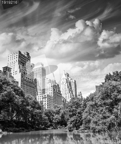 Image of New York City - Manhattan Skyscrapers from Central Park with Tre