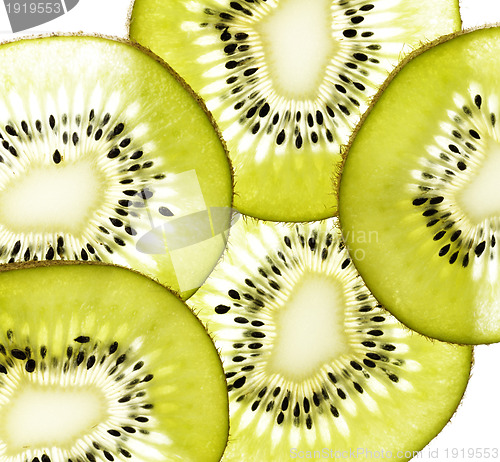 Image of Kiwi Background
