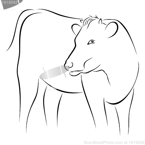 Image of Cow on sketch