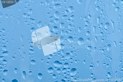 Image of water drops