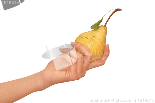 Image of yellow pear