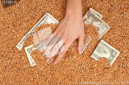 Image of Monetary crop