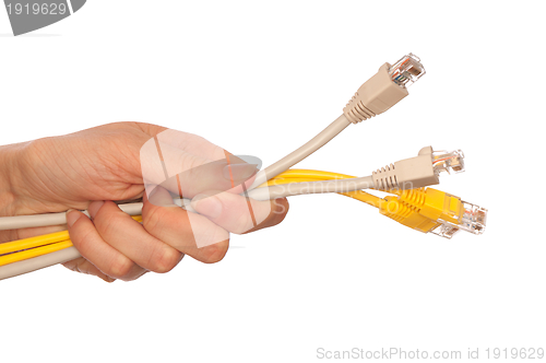 Image of LAN cords