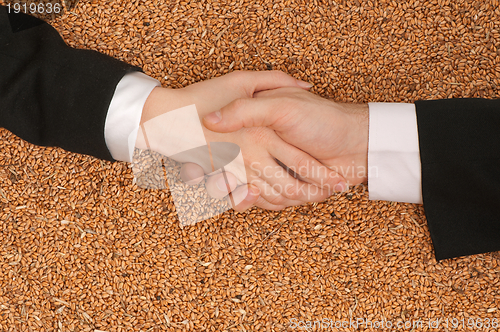 Image of Hand shake