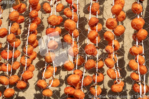 Image of Persimmons drying