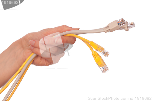 Image of LAN cords