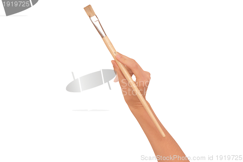Image of white brush