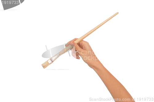 Image of white brush