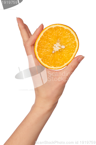 Image of Orange