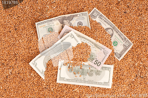 Image of Monetary crop