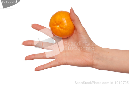 Image of tangerine