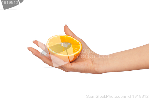Image of Orange