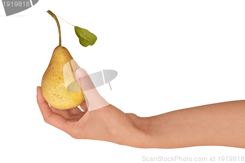 Image of yellow pear