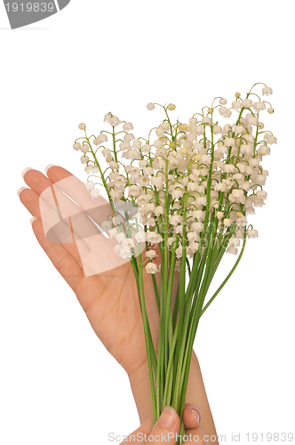 Image of lily of the valley