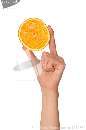 Image of Orange