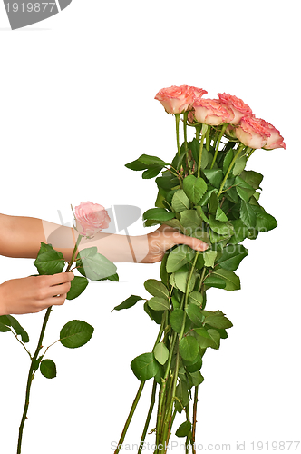 Image of big bouquet of roses