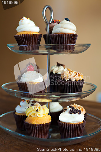 Image of Cupcakes Party Tray