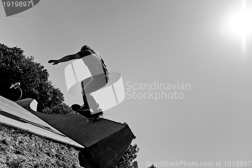 Image of Skilled Skateboarder Silhouette 