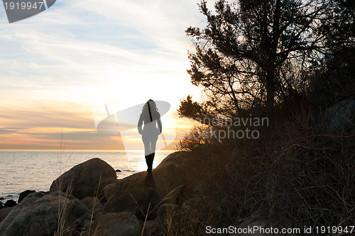 Image of Silhouette at the Shore