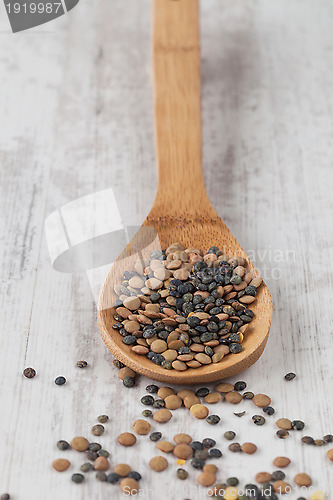 Image of Lentils 