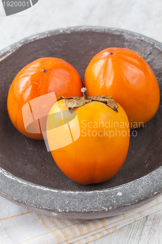 Image of Persimmon