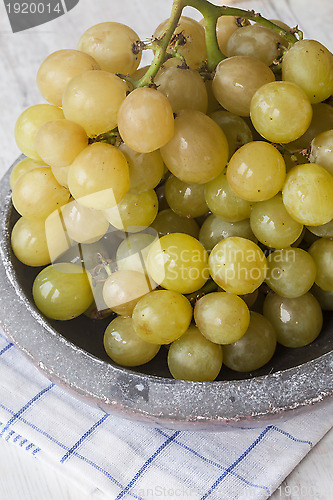 Image of Grapes