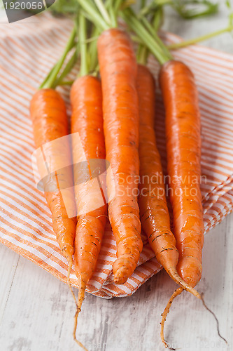 Image of Fresh carrots
