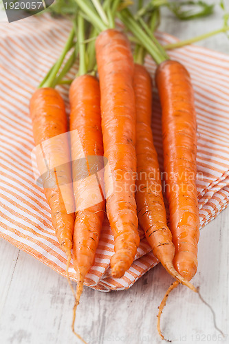 Image of Fresh carrots