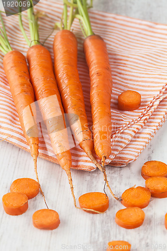 Image of Fresh carrots