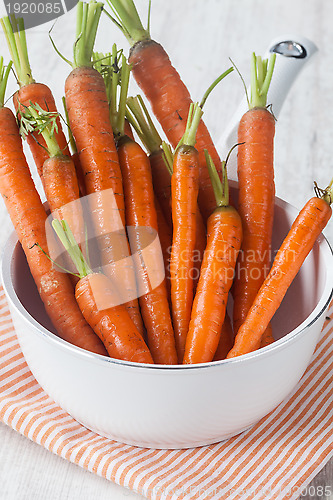 Image of Fresh carrots