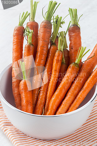 Image of Fresh carrots