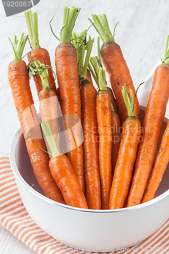 Image of Fresh carrots