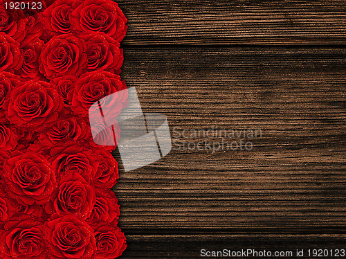 Image of roses