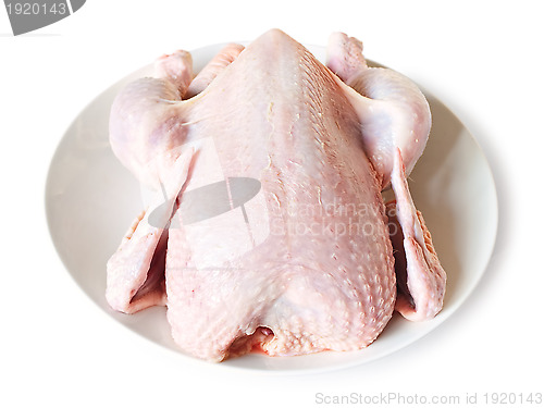 Image of uncooked chicken