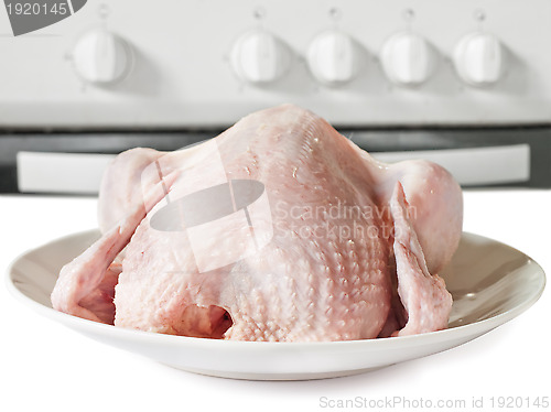 Image of uncooked chicken