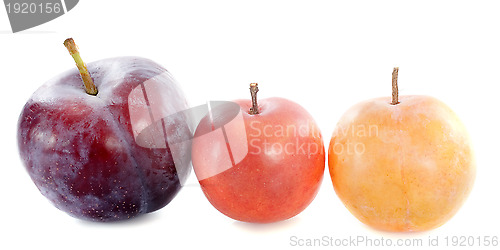 Image of three plums