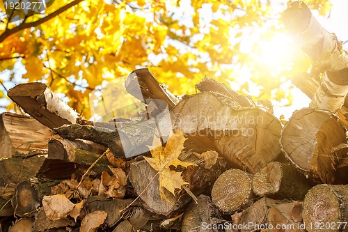 Image of wood in pile outdoor with sunlight