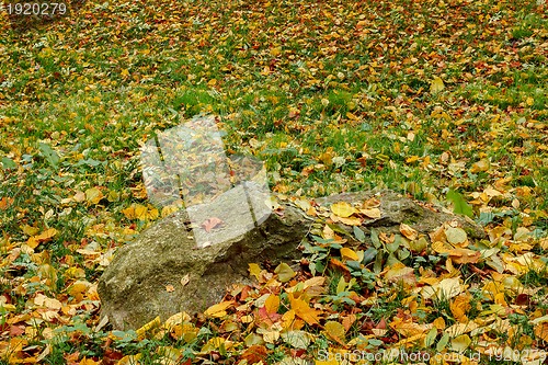 Image of Fall orange and red autumn leaves on green ground