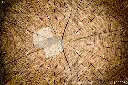 Image of wood grungy background