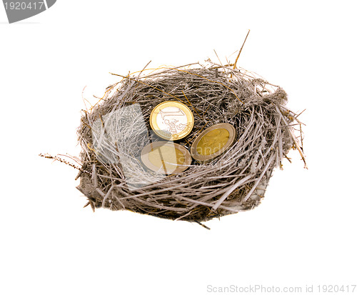 Image of silver bird nest and euro coins money on white 