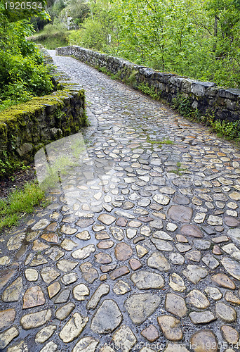 Image of Roman bridge input, Poo de Cabrales.