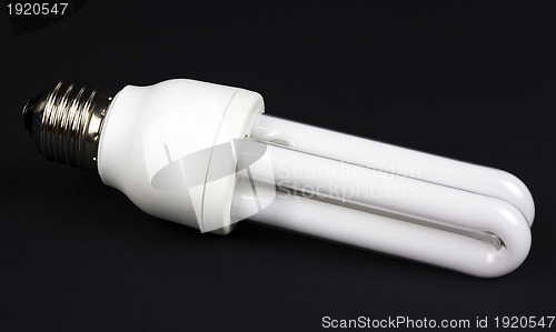 Image of Energy Efficient Lightbulb