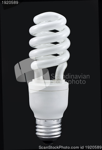 Image of compact fluorescent bulb