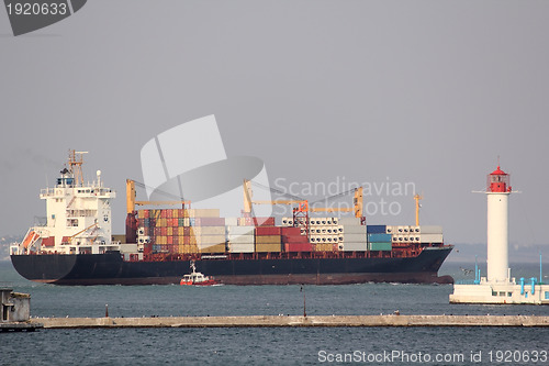 Image of Big bulk-carrier with cardo