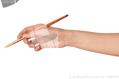 Image of red brush