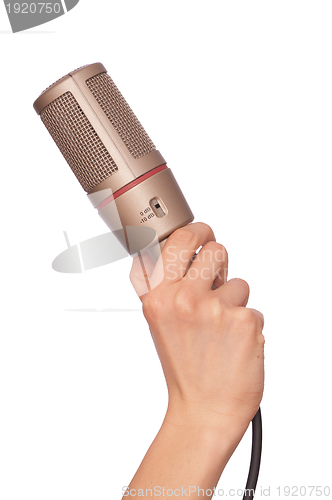 Image of big microphone