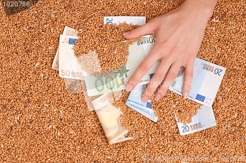 Image of Monetary crop