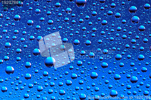 Image of water drops