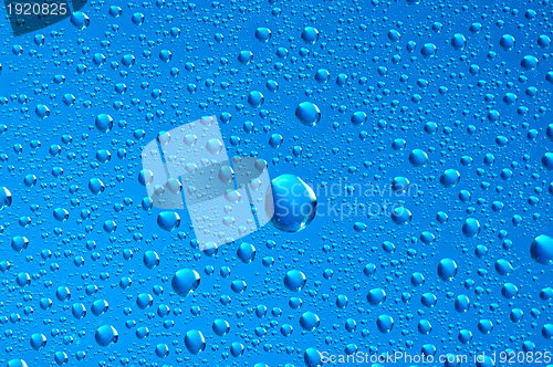 Image of water drops