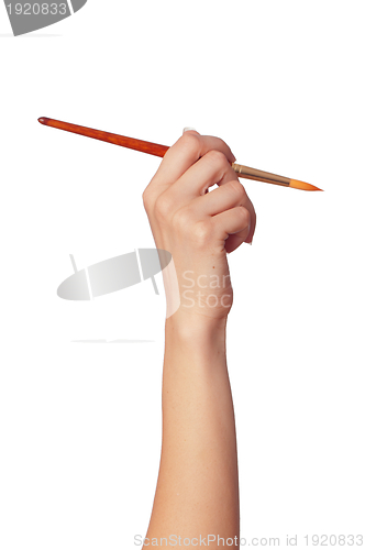 Image of red brush